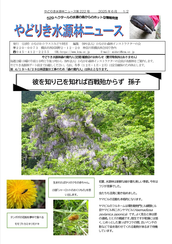 水源林ニュース