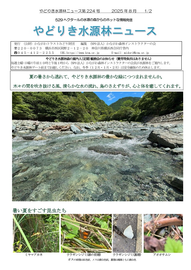 水源林ニュース