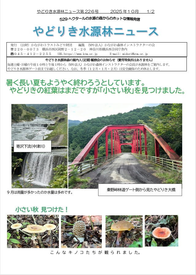 水源林ニュース