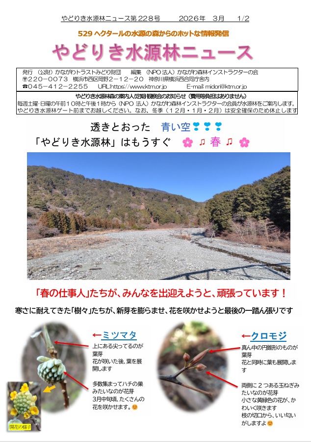 水源林ニュース